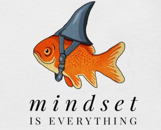 Grouth mindset